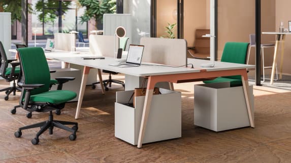 Lares Desk in environment